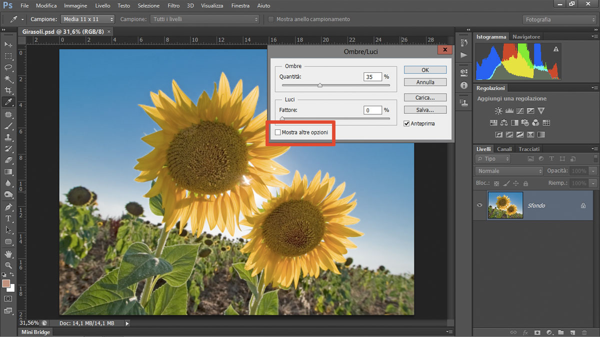 Adobe Photoshop CS5.5 Base